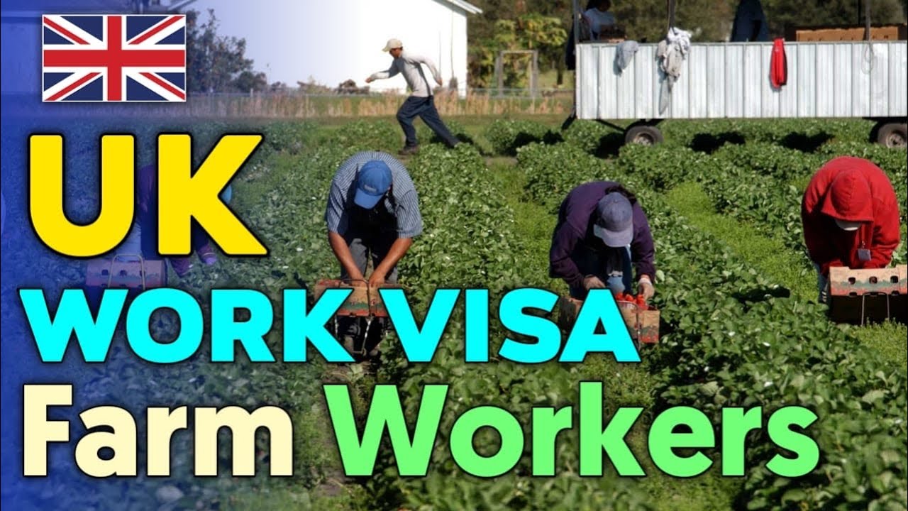 How to Obtain an Easy UK Visa | Farm Worker Visa in the UK
